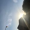 chelseygibson7c